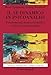 Il Sé Dinamico In Psicoanalisi. Fondamenti Neuroscientifici E Clinica Psicoanalitica - 3