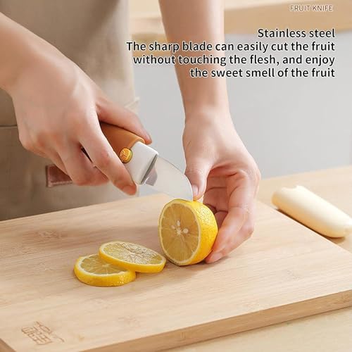 SKYTONE Pocket Knife, Kitchen Knife Peeler Portable Knife for Fruit 2 in 1 Knife and Peeler for Kitchen Travel Knife with case Stainless Steel Bled Pack of 1 (2 in 1) 5 41iOInj2kcL