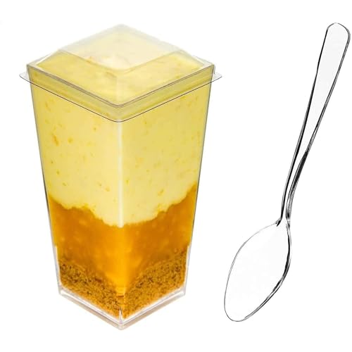 DLux 100 x 3 oz Mini Dessert Cups with Spoons and...