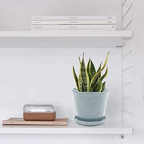 Image of CHIVE 'Tika' Ceramic Planter Pot - Large 8 inch Succulent Pots for Indoor & Outdoor House Plants - Cute, Beautiful Modern Farmhouse Kitchen Decor - New Grey