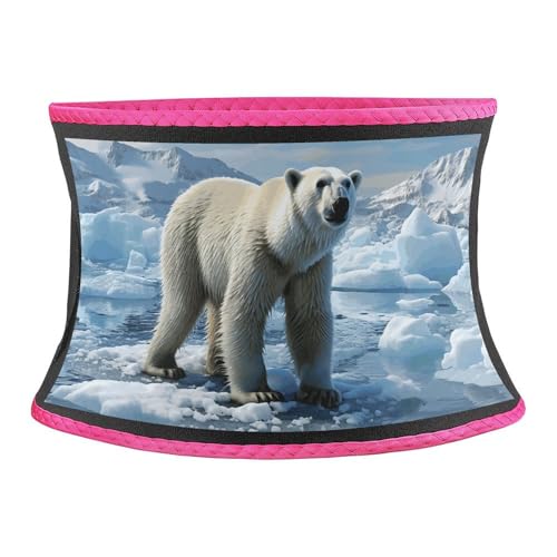 Entrenador de cintura de alta intensidad Polar Bear Ice, faja abdominal unisex
