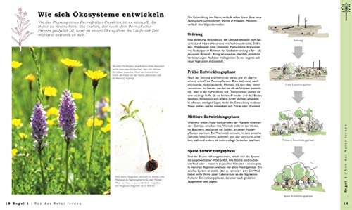 Permakultur für Einsteiger: Gärtnern im Einklang