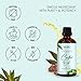 Herbion Naturals Organic Castor Oil USDA Certified, 100% Pure, Cold Pressed, Hexane-Free. Moisturizer & Hair Treatment. Glass Bottle w/Dropper, 3.38 Fl Oz