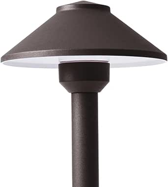 SPW Pro Trade PT FL2 BS LED Flood Light Wall Wash Fixture Brass Housing...