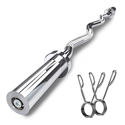 The Best Curl Bar Weight Plates Picks For 2022