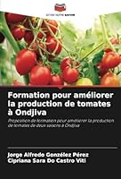 Formation pour améliorer la production de tomates à Ondjiva: Proposition de formation pour améliorer la production de tomates de deux saisons à Ondjiva (French Edition) 6208694973 Book Cover