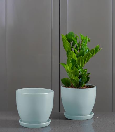 Image of Nurturing Green Set of 2 Modern Mint Green Ceramic Pots for Indoor Plants | Flower Pots for Home Decor(Size: 5 Inch Wide | Comes with Bottom Plate) - [Plants are not Included]