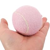 GAROZATION Trainings Tennisbälle 2 Stück Gummi Übungsbälle Für Anfänger Und Spieler Leichtes Spielzeug Für Grundschläge Und Aufschläge