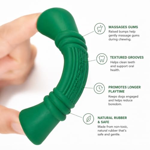 Image of Green Sheep Enrichment Dog Bone for Medium to Large Dogs, Natural Rubber Treat Dispensing Chew Toy with Textured Surface for Mental Stimulation & Dental Support, Interactive Dog Toys