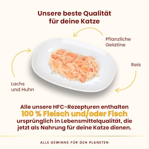 Almo Nature HFC Jelly - Nassfutter für ausgewachsene Katzen - Lachs & Huhn - Human Grade, Glutenfrei - 6 x 70g