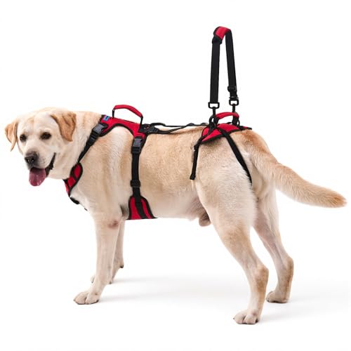 Lafoty Dog Lift Harness for Large Dogs, Full-Body Support Dog Harness for Stairs & Hind Leg Weakness, Senior Dog Walking Assist, Male Dog-Friendly & Comfortable, Red, L