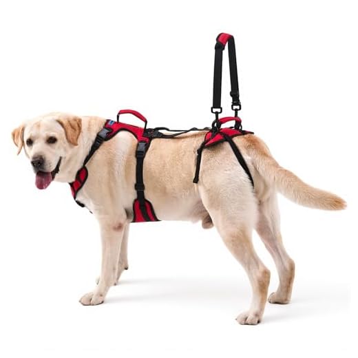 Lift Harness for Large Dogs