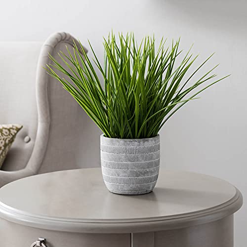 Infavrdin Favrd Artificial Plants Artificial Grass In Cement Pot Environmentally Conscious Partly Recycled Fake Plants Faux Plants Indoor Home And Office Decor Table Or Desk, 16 X 16 X 15 Inches #TOP1