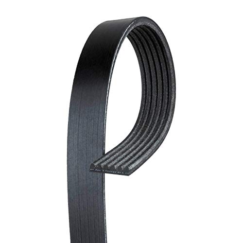Courroie Gates K060975 striée standard pour transmission moteur automobile