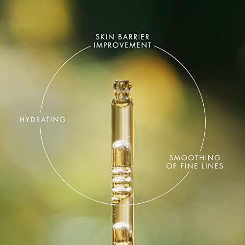 EVE LOM Renewal Treatment Oil - Skin Therapy Multi-Tasking Face Formula with 10 Nourishing Botanicals - Moisturizing Serum for Smooth Skin - Lightweight, Non-Greasy Hydration for All Skin Types - Image 5