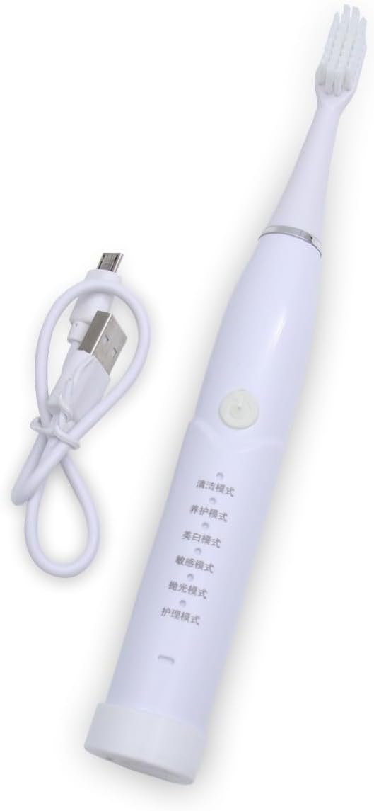 Electric Toothbrush 6 Mode USB Rechargeable Acoustic Vibration