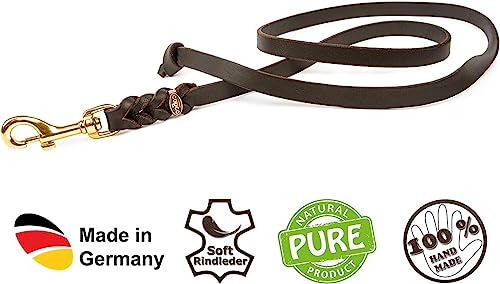Hundeleine Leder 2m kleine Hunde – Fettlederleine [ohne Handschlaufe] Lederleine Hund geflochten leicht – Führleine & Trainingsleine aus robustem Rindsleder, Messingkarabiner, Dog Leash 10mm, Braun