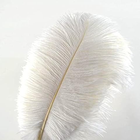 Crenze 10pcs Ostrich Feathers 12-14inch(30-35cm) for Home Wedding Decoration Offers 10 Colors Cover