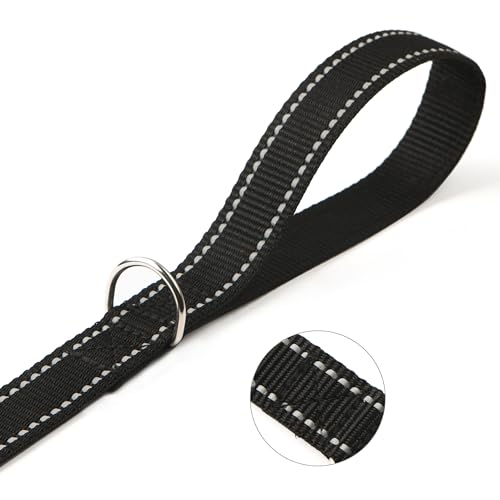 Durable Nylon Leash Closeup