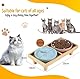 Katzennapf Flach Keramik mit Holzständer, Erhöhte Futterstation mit 2 Keramiknäpfe, Futternapf Katze Schalen-Durchmesser 16 cm für Futter Wasser, Rosa & Blau