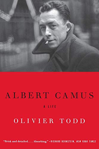 Albert Camus view 2