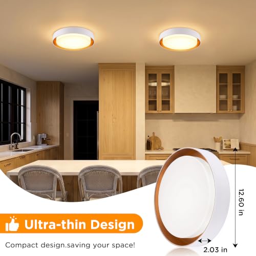 Image of LUTEC Flush Mount Ceiling Light, White with Gold Interior, 13in 23W Dimmable LED Ceiling Lights, 3000K Daylight, 3000lm Super Bright Energy-Efficient Modern Lamp for Bedroom, Hallway, Kitchen