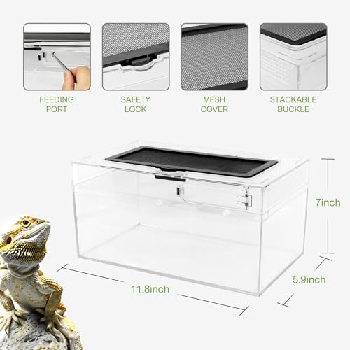 Image of Reptile PC Terrarium Amphibian Tank Spider Enclosure Snake Cage 7x11.8x5.9inch Suitable for breeding Leopard Gecko,Frog,Hermit Crab,Lizards,Isopod,Tarantula,Turtles,Chameleons,Jumping Spiders