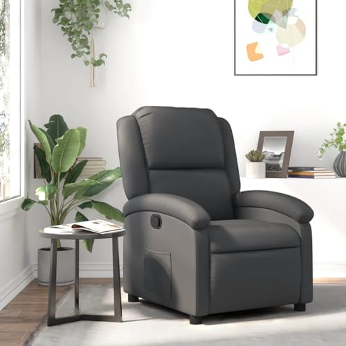 KATERYY Sessel Grau Echtleder,Entspannender Leder TVSessel mit manueller Liegefunktion Wohnzimmer, Sessel KATERYY Sessel Grau Echtleder,Entspannender Leder TVSessel mit manueller Liegefunktion Wohnzimmer, Sessel