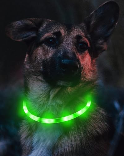 Joytale Leuchthalsband Hund USB Aufladbar Hundehalsband Leuchtend für Große Mittel Kleine Hunde und Welpe, Led Halsband mit 3 Modi für Sicherheit, Grün
