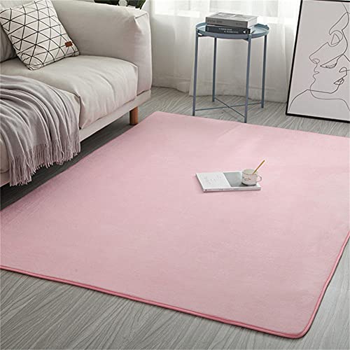 Il Più Nuovo semplice Tappeto Velluto Corallo Tinta Unita Pink Camellia Pelo Corto Morbida Antiscivolo lavabile Coperta Stuoia Rug Spesso in Pile di Corallo Tatami Soggiorno Tappetino -120×170cm