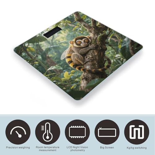 Báscula de Baño Digital Slow Loris LCD Vidrio Templado miniatura 3