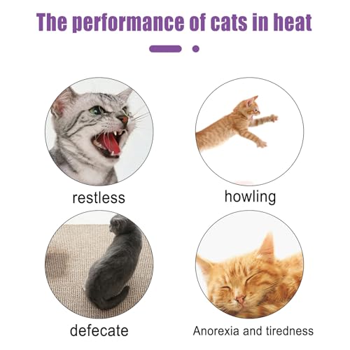 Image of YOUTHINK Pets Pheromone Calming Spray,Improve Estrus Agitation Spray Pet Anxiety Relief Spray for Cats Dogs
