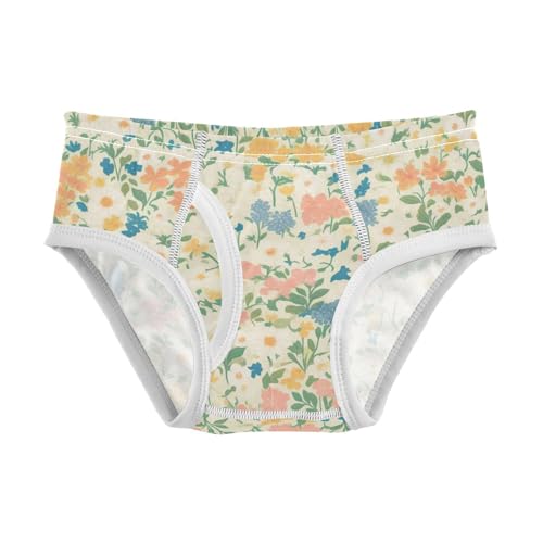 KLL Seamless Wild Flowers Farmhouse Toddler Boys Cotton Briefs Cute Undies