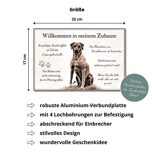 ZAUBERBILD Hundeschild Warnung | Rhodesian Ridgeback 'Willkommen in Meinem Zuhause' | Warnschild Vorsicht Hund | 25x17cm Alu