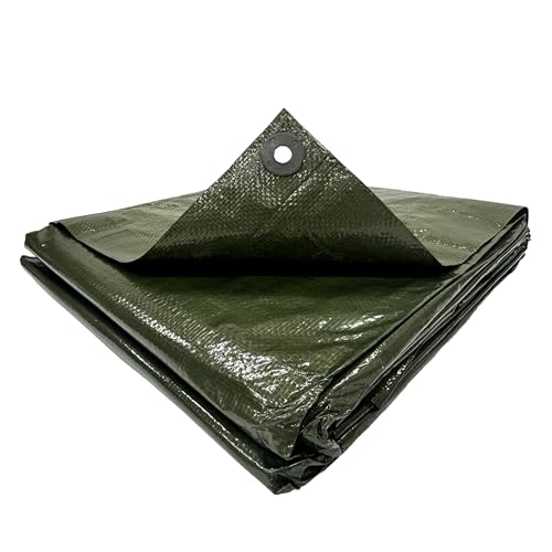 yAmazon.co.jpz^JCN#2500 ODO[V[g 5.4×5.4 26OGS213 h TCY Ɩp y، H ޗ{