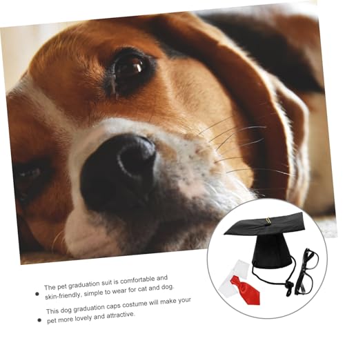 Set Disfraz Graduación para Perros con Sombrero y Corbata miniatura 5