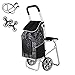 SH-gwtc Carrello della Spesa Pieghevole con Sedile Carrello Saliscale Pieghevole per Spesa Compatto Pieghevole,2/6 Ruote Portata Massima 100 kg,Carrello della Spesa Push/Pull per Disabili (Color : C)