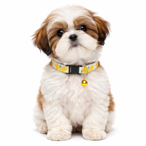 Emily Pets Cat Collar Breakaway with Bell - Cute Cat Collars for Boy Cats and for Girl Cats, Kitten Collar Adjustable, Quick Release Safety Buckle (Color May Vary, 1 Piece)