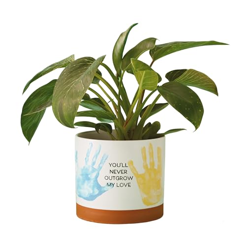 Hallmark Planter Handprint Kit (Never Outgrow My Love) Gift for