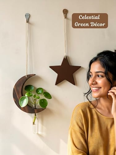 Image of Bombay Greens Hanging Moon Star Planter with Wooden Holder & Rope | Test Tube Hanging Planter Indoor Stand | Wooden Hanging Home Decor, Living Room, Balcony & Office
