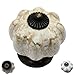 DIY Décor Hub-Set of 10 Antique Ceramic Pumpkin Knobs, Handles Pulls for Cabinets, Cupboard Dresser, Drawers, Kitchen Furniture or Kids Room