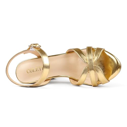 COLETER Women's Platform Chunky Heels Ankle Strap Block Heeled Sandals Party Wedding Shoes