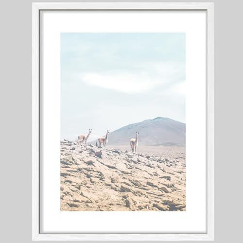 SIGNWIN Framed Poster Wildlife on Rocky Terrain Elegant Antelopes in Natural Habitat Illustrations Nature Wilderness Minimalist Decorative for Living Room, Bedroom, Office - 12"x16" White