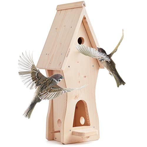 Woid Herz Nistkasten con comedero para pájaros (N3) Pajarera para tiñón de col, hierro azulado, pajarera de campo y papilla de luto Cover
