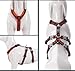 Truelove Double H Escape Proof Nylon Dog Harness Reflective Adjustable No Pull Pet Vest Harness for Small Medium Large Dogs TLH6571(Black/Orange,XL)