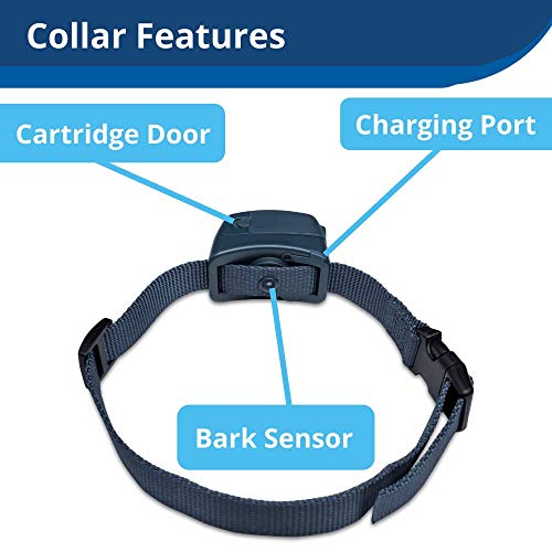 3 Best AntiBark Devices 2023 [Top Picks & Buyer's Guide]