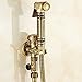 Bidet Sprayer for Toilet, Antique Brass Handheld Sprayer with Hose Wall Mounted Baby Diaper Cloth Washer and Shower Sprayer for Pet,Bronze,B