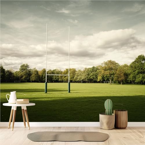 Peel and Stick Wallpaper Rugby Goal Posts Vinyl Wall Mural Self-Adhesive Wall Decal Removable Removable Easy to Cut Waterproof Sticker 69\" x 96\"