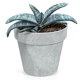 Annastore