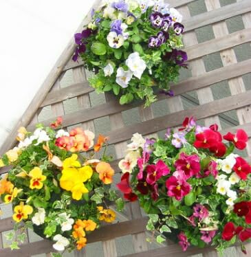 pW[rĨnMOoXPbg 񂹐A [3FZbg] MTCY Vv| t[Mtg a v[g     Vzj ij ސEj t ~ A  K[fjO t[ oXPbg O Mtg